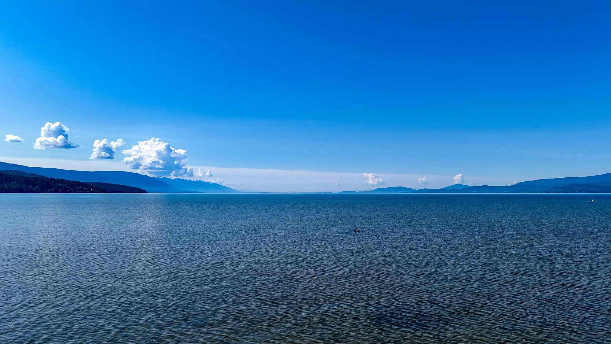 Flathead-Lakeshore-Legacy